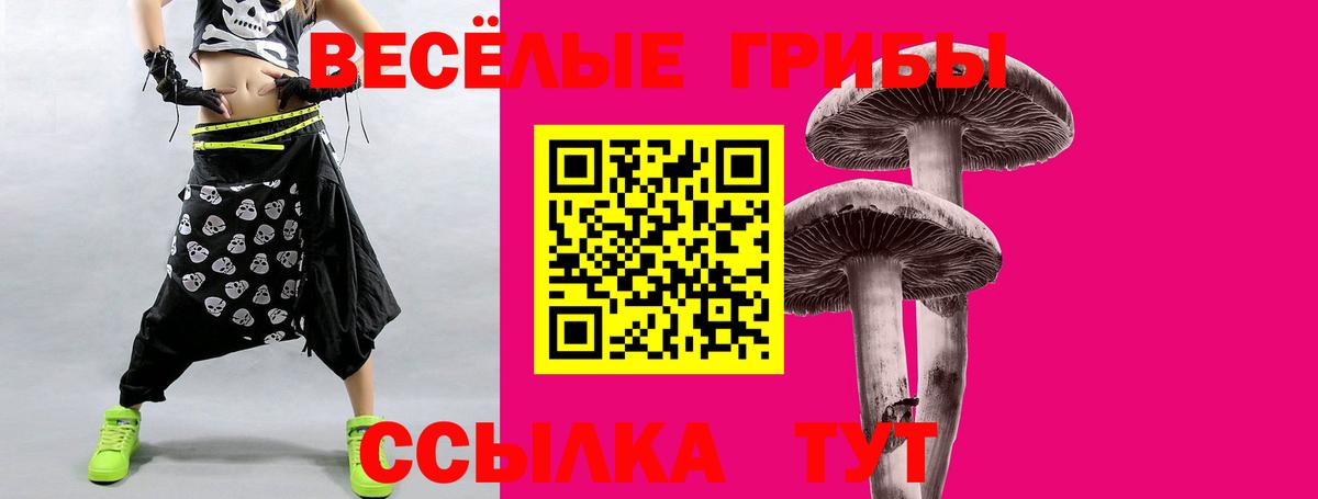 Шарыпово  хочу наркоту  Псилоцибиновые грибы Psilocybe  Вход с VPN  Галлюциногенные грибы ЛСД 